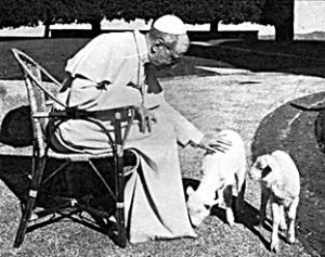 Pius XII. 1939: "Nothing is lost by peace, but by war everything can be lost"