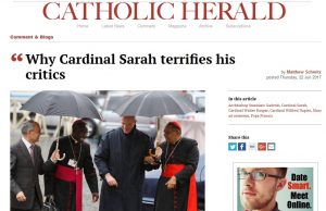 Kardinal Sarah, der Alptraum seiner Kritiker