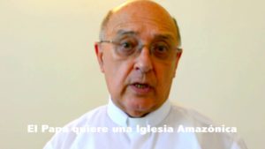 Erzbischof Pedro Barreto gab nach dem Ad-limina-Besuch in einem Video bekannt, daß Franziskus "eine Amazonas-Kirche" will.
