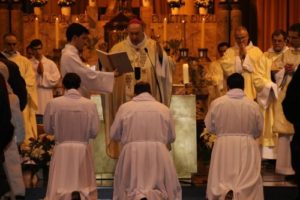 Priesterweihe durch Erzbischof Léonard 2015
