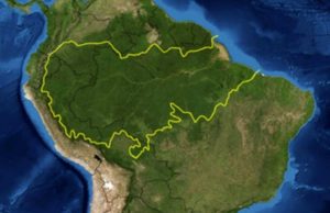 Amazonas-Becken