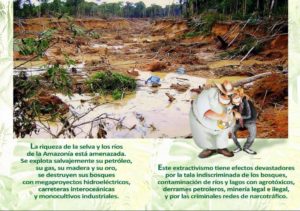 Amazonassynode: politische Forderungen