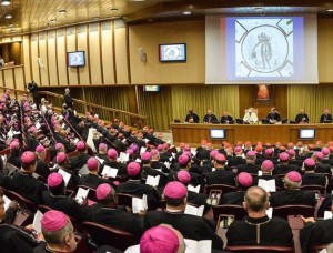 Bischofssynode 2015: 100 Konvertiten fordern die Glaubenslehre unverkürzt zu bewahren