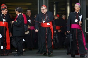 Kardinal Burke: Gläubige sollen Bischöfen und Papst schreiben