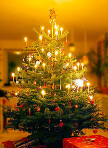 Der Christbaum ziert zur Weihnachtszeit zahlreiche Häuser