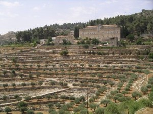 Salesianerkloster Cremisan im gleichnamigen Tal bei Betlehem Israelischer Mauerbau Gottesdienst gegen Mauerbau