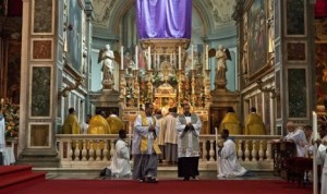 Franziskaner der Immakulata, mehr als 1000 Protestbriefe an den Vatikan in 24 Stunden
