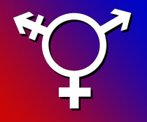 Genderwahn und die neuen Geschlechter