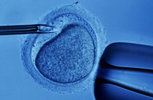 IVF - kpnstliche Befruchtung: das Milliardengeschäft, das für jedes lebend geborene Kind den Tod von 14 ungeborenen Kindern bedeutet.