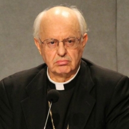 Kardinal Baldisseri und die Bischofssynode: Was genau ist für den Pupurträger "Wahnsinn"?