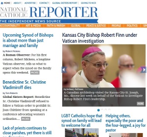 National Catholic Reporter gegen Bischof Robert Finn