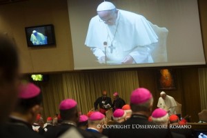 Papst Franziskus und die Synode