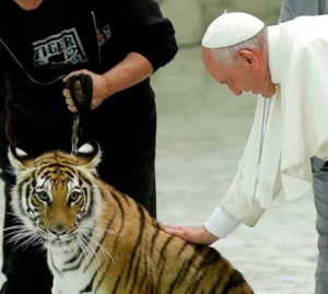 Papst mit Tiger: "Mahlzeit"