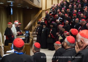 Die Synode des Papstes und der Verdacht von Synodalen