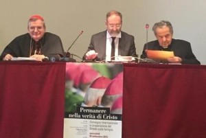 Tagung in Rom Kardinal Burke