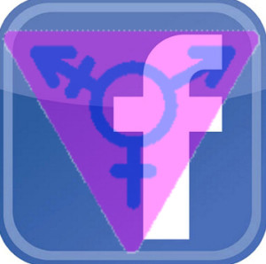 Transgender und das konstruierte Geschlecht bei Facebook