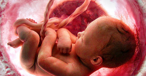Ungeborenes Kind: Das Wunder Mensch beschützen
