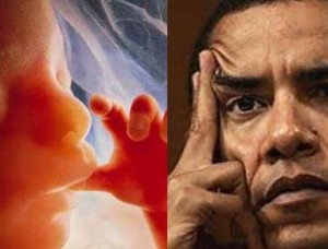 Ungeborenes Kind und Barack Obama, der 2009 nach Amtsantritt ein Gesetz in Kraft setzte, mit dem der Staat embryonalen Stammzellforschung finanzieren kann. Vorgänger Bush hatte das Gesetz blockiert. Der aktuelle Stand der embryonalen Stammzellforschung