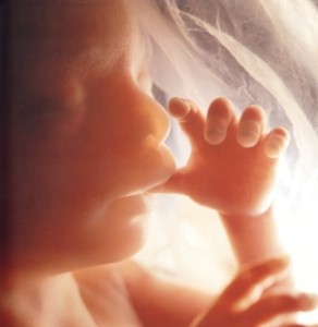 Ungeborenes Kind bedroht durch Abtreibung Englische Regierungsstudie offenbart Verbreitung utilitaristischen Denkens